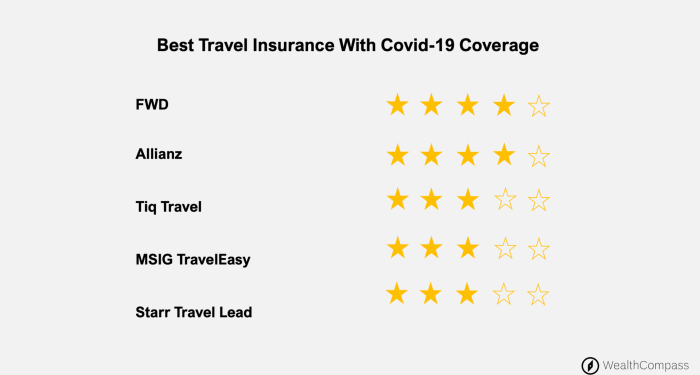 Best Travel Insurance With Covid-19 Coverage | Wealth Compass