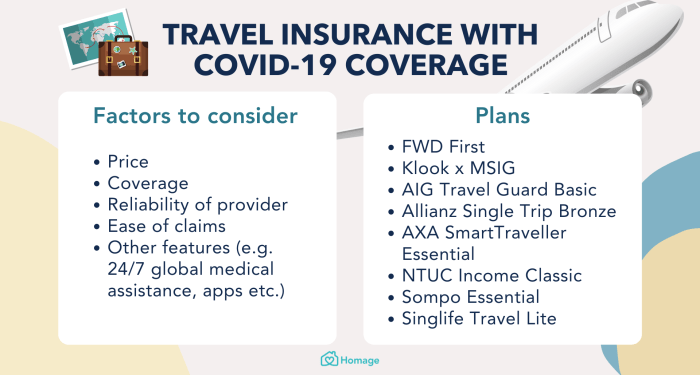 Best Travel Insurance in Singapore with Covid-19 Coverage - Homage