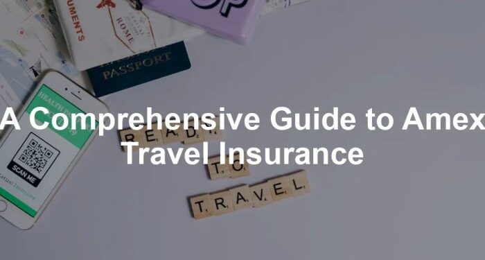 A Comprehensive Guide to Amex Travel Insurance - Best For Travelers